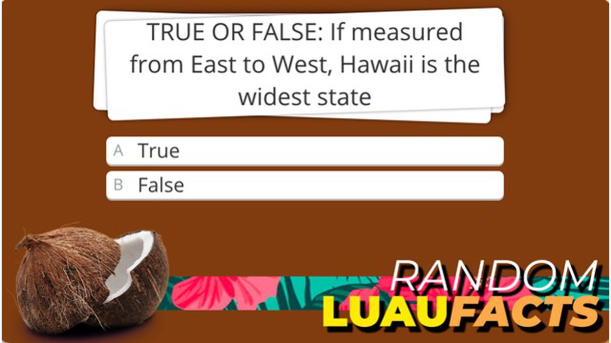 Random Luau Facts - Sidekick image number null